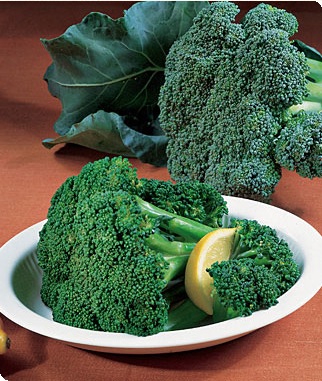 Bonanza Hybrid Broccoli